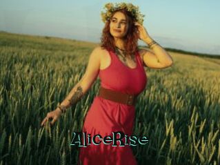 AliceRise Blog Pornostar