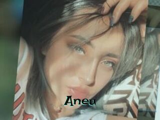 Aneu