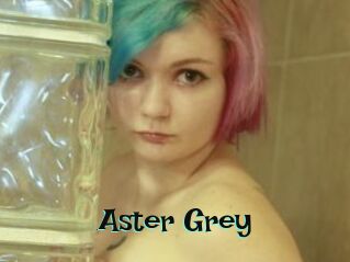 Aster_Grey