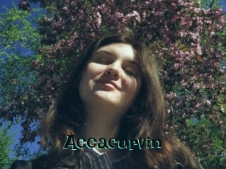 Accacurvin