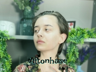 Aftonhase