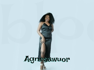 Agnesawuor