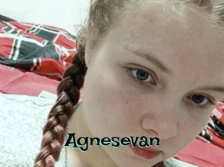 Agnesevan