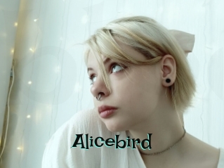Alicebird