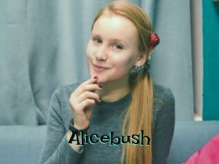 Alicebush