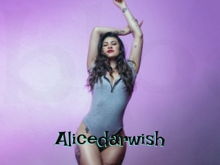 Alicedarwish