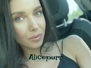 Alicepurr