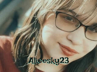Alicesky23