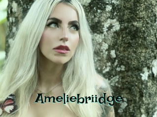 Ameliebriidge