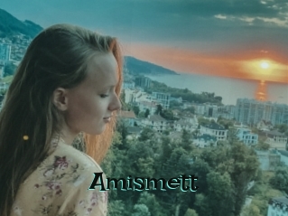 Amismett