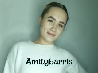 Amitybarris