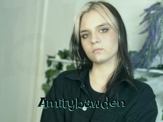 Amitybawden