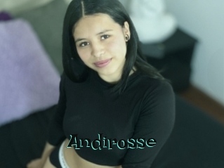Andirosse