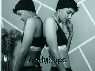 Andyhops