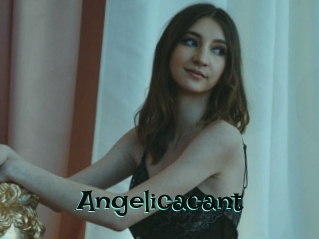 Angelicacant