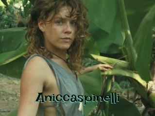 Aniccaspinelli