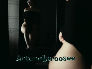 Antonellaroosee