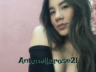 Antonellarose21