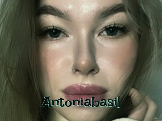Antoniabasil
