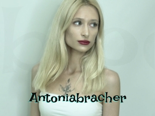 Antoniabracher