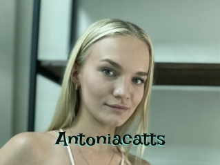 Antoniacatts