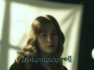 Antoniacorell