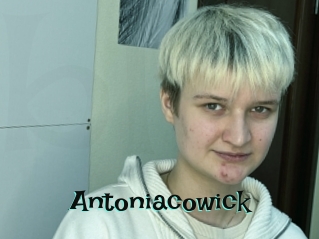 Antoniacowick