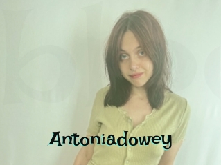 Antoniadowey