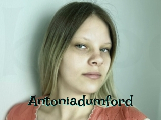 Antoniadumford