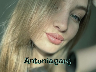 Antoniagary