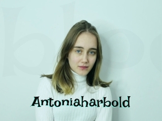 Antoniaharbold