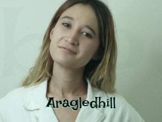 Aragledhill