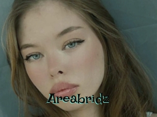 Areabridz