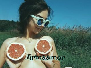 Arinaamor