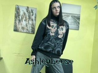 Ashleybeese