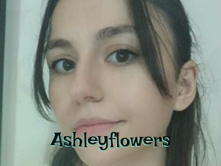 ashleyflowers Blog Pornostar