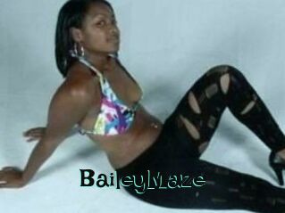 Bailey_Maze