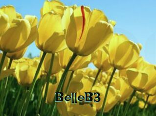 BelleB3