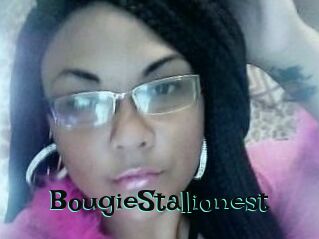 BougieStallionest