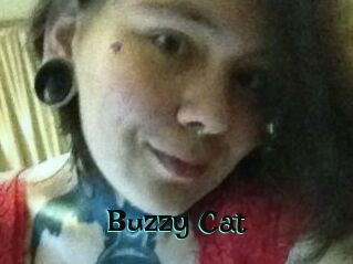 Buzzy_Cat