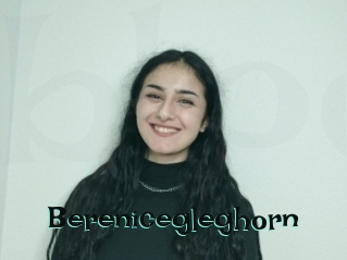 Berenicegleghorn