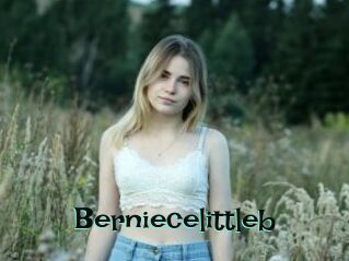 Berniecelittleb