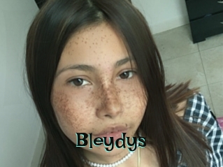 Bleydys