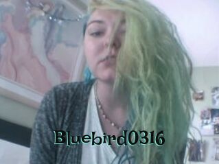 Bluebird0316