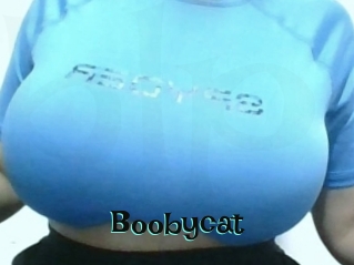 Boobycat