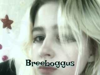 Breeboggus
