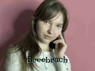 Breebrach