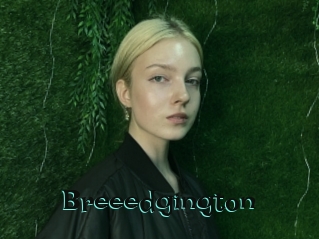 Breeedgington