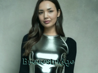 Breeestridge