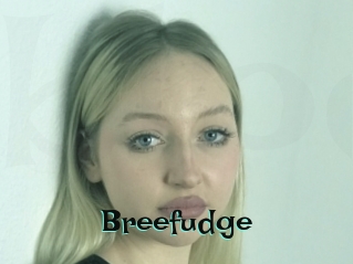 Breefudge